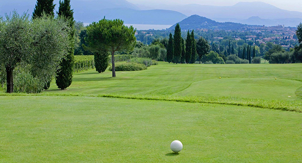 CAMPI DA GOLF