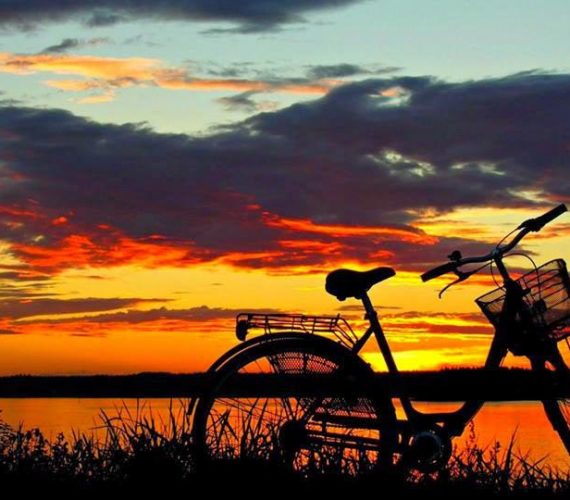 Offerta Tour in Bici (guidati e non, in e-bike e non)