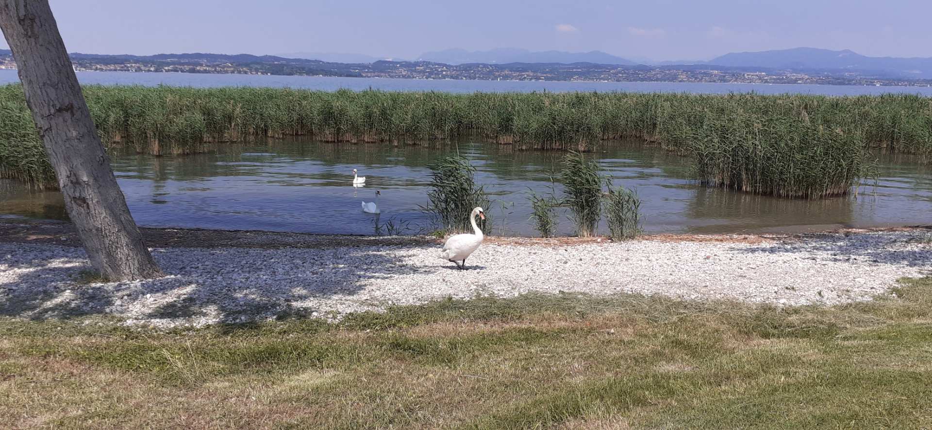 Passeggiata Lugana Sirmione