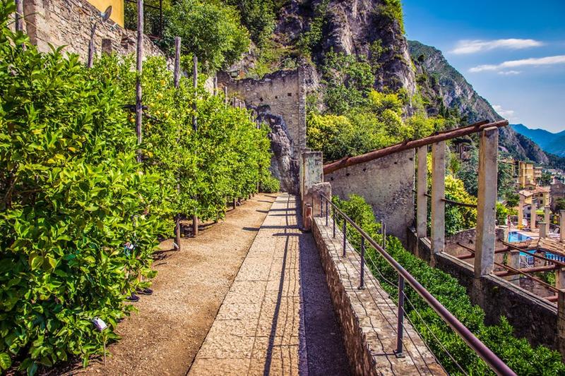 Il Lago di Garda e le sue Limonaie